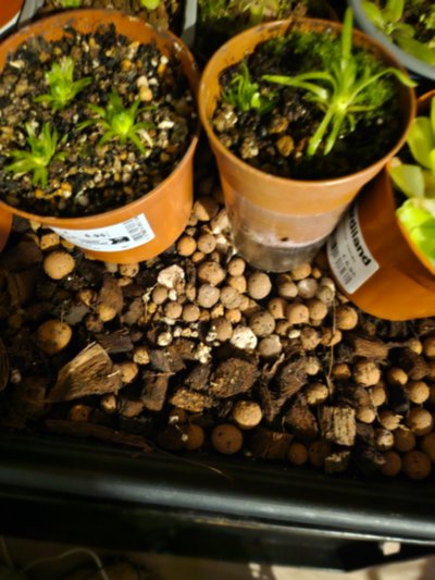 Photo de contribution