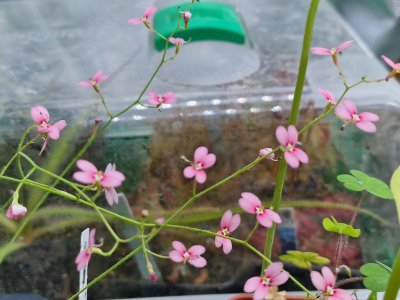 Photo de contribution