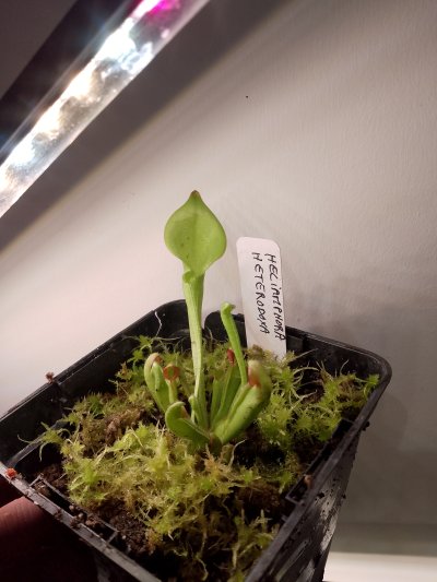 Photo de contribution