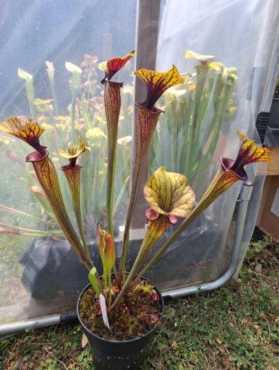 Photo de contribution