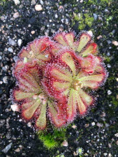 Photo de contribution