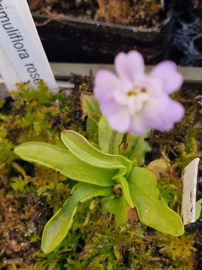 Photo de contribution