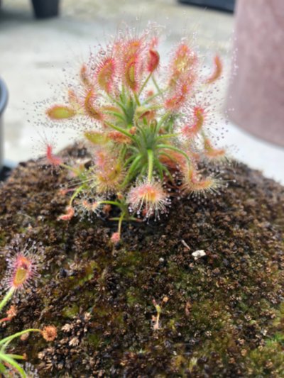 Photo de contribution