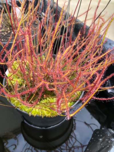 Photo de contribution