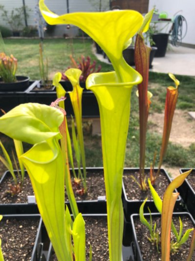 Photo de contribution