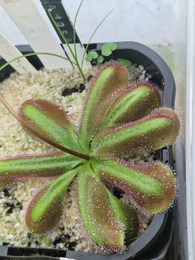 Photo de contribution