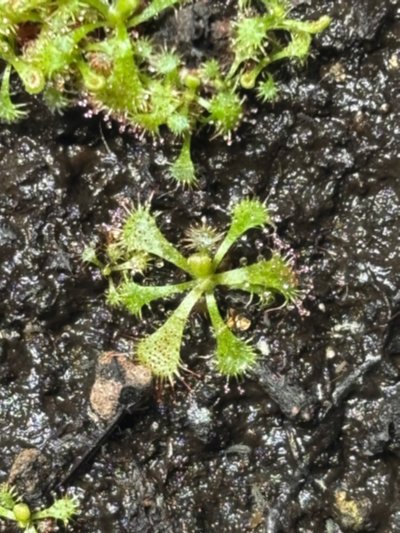 Photo de contribution